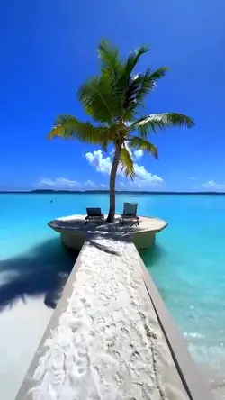 Vlog Vlog Travel