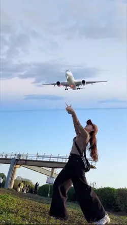 Theplaneflewoverhead