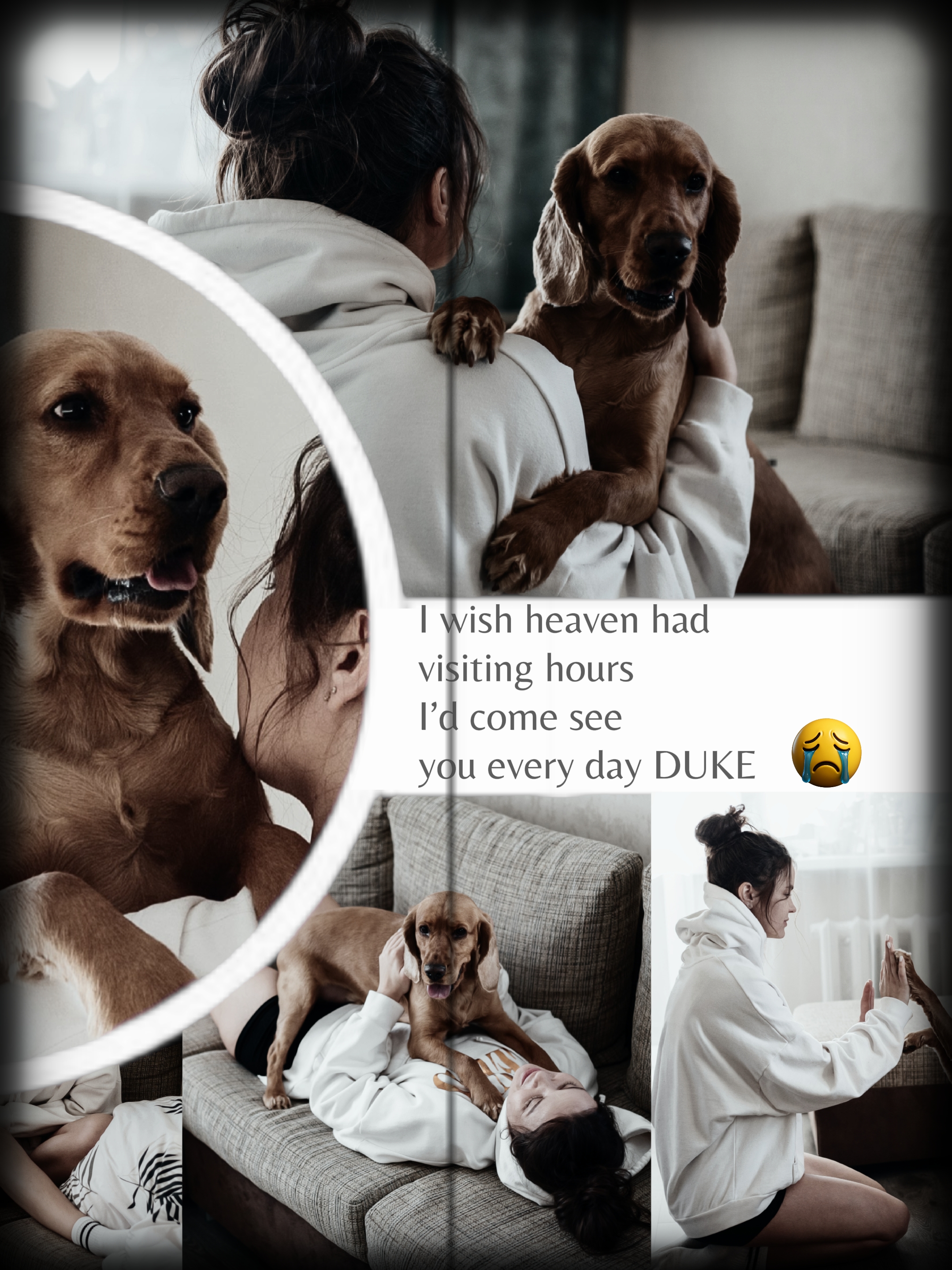 Extrañando a mi perro