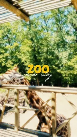 Zoo mini vlog