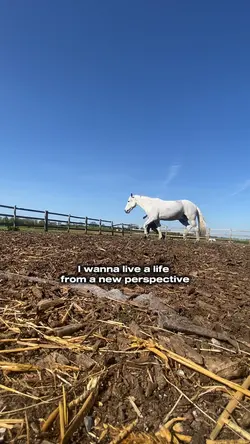 New perspective!!