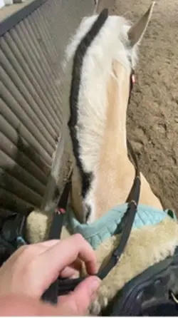 He was a good boy❤️