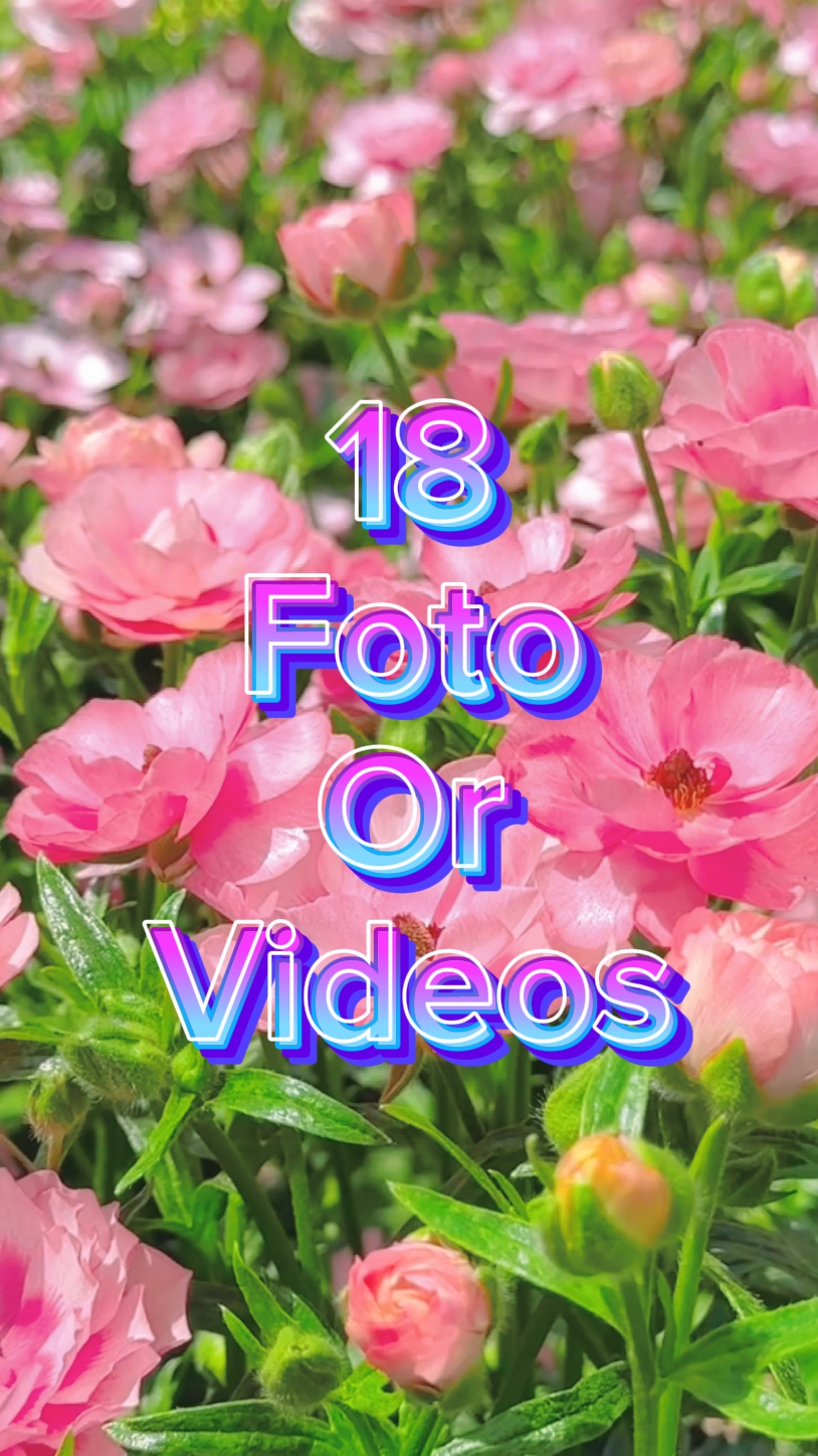 18 Diapositiva de video