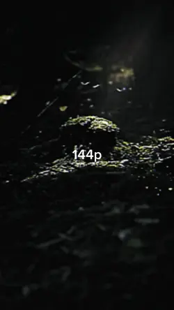 144p to 4k