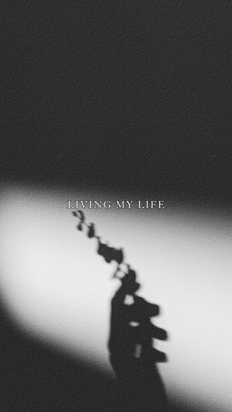 Living my life Pro