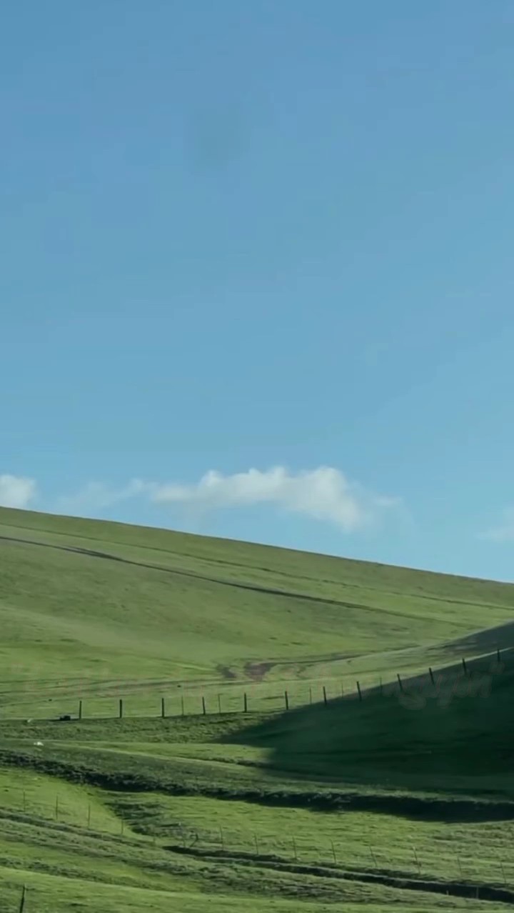 loài hoa đẹp nhất 