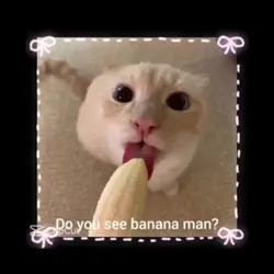 Repost / gloopglarp