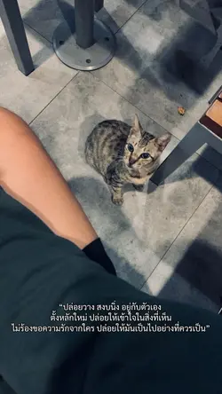 🥹🤍