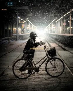 Xuân Đình Tuyết 春庭雪