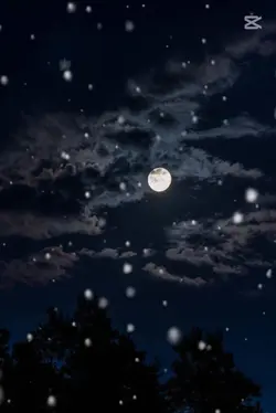 មុនពេលចូលគេង