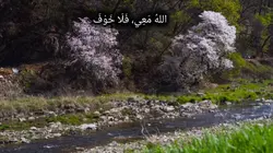 Islamic Reflection 