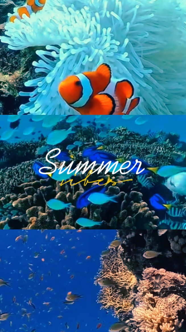 VERÃO