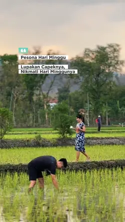 pesona hari minggu