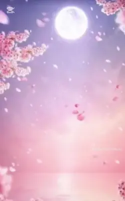 有建议麻烦留言