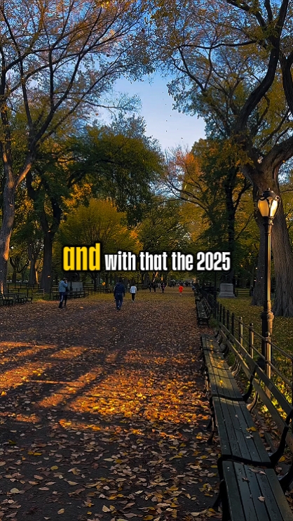2025 recap