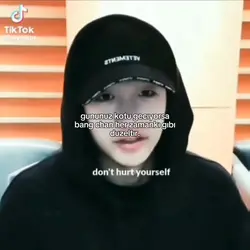 bang chan.