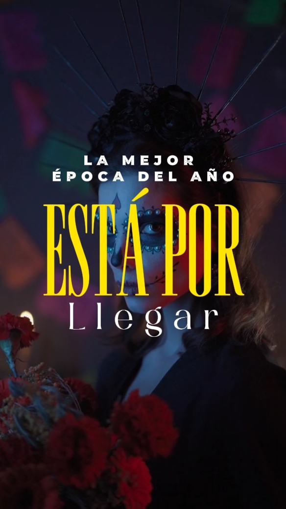 Lo mejor del año...