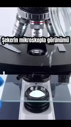 Şeker Mikroskopta🍭