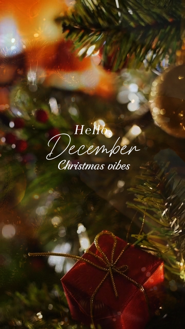 Christmas vibes