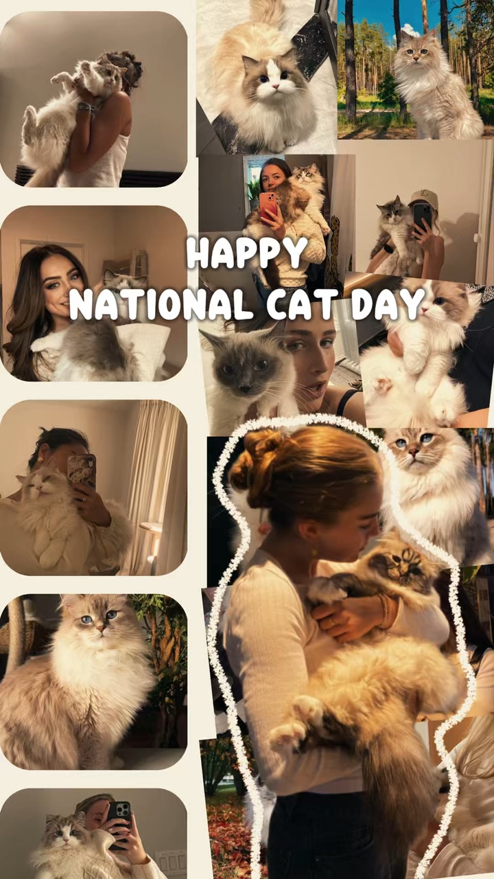 Nationaler Katzentag