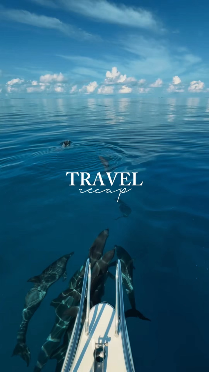 Travel recap