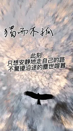 獨而不孤 書籤