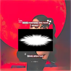 istekoverlayveriyoru