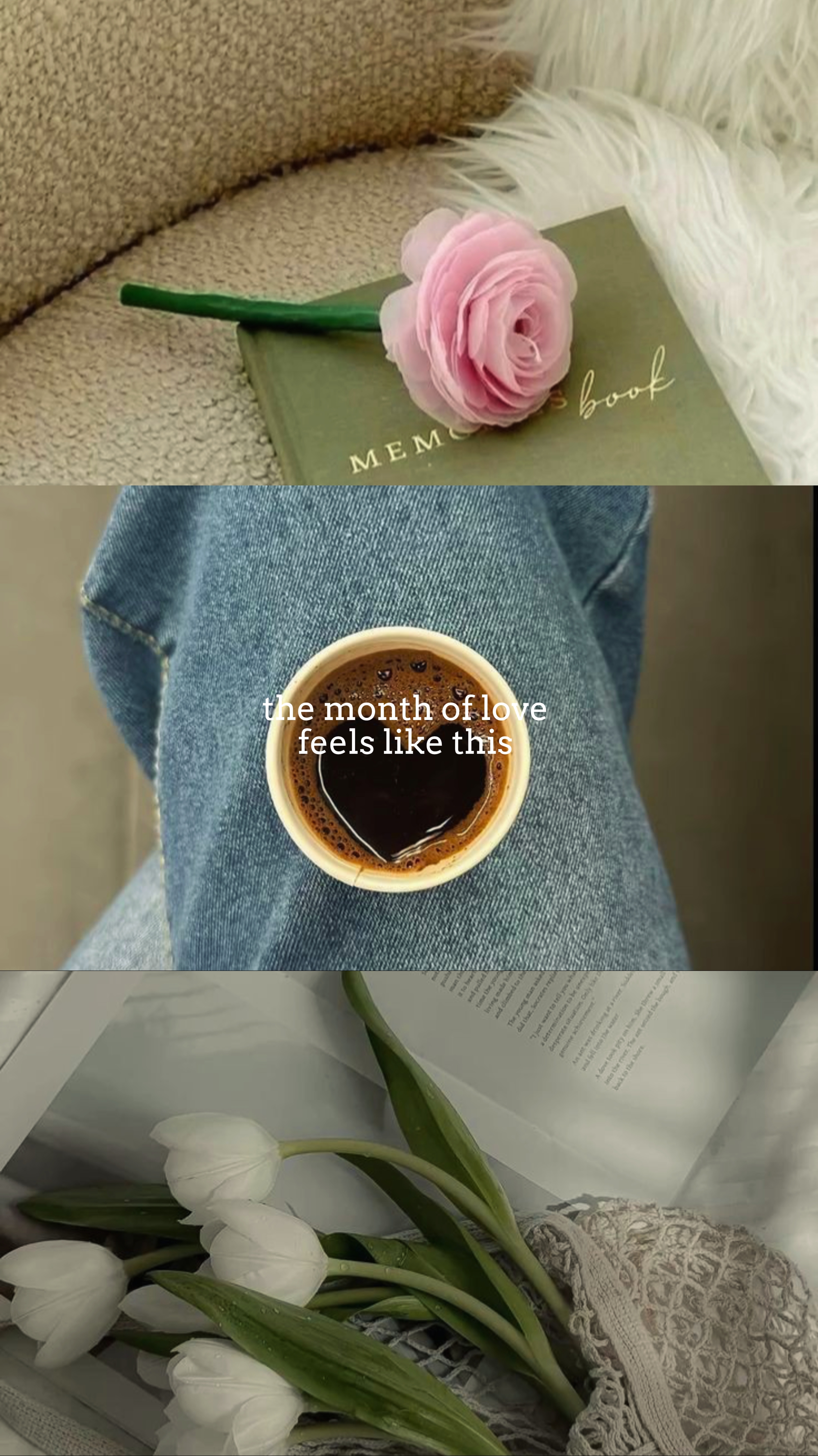 bulan cinta 