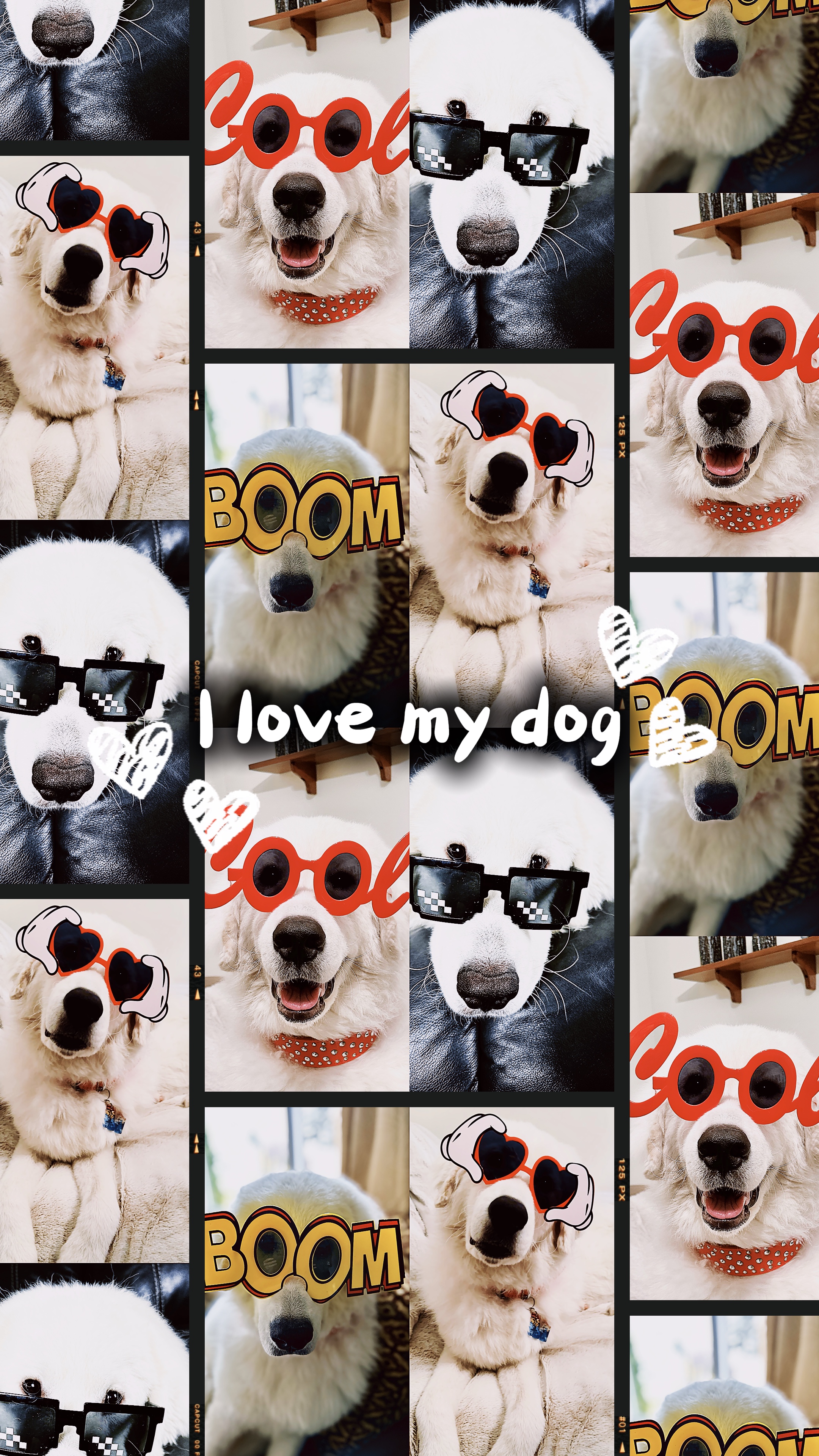 I love my dog