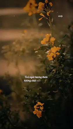 Hãy sống như là...