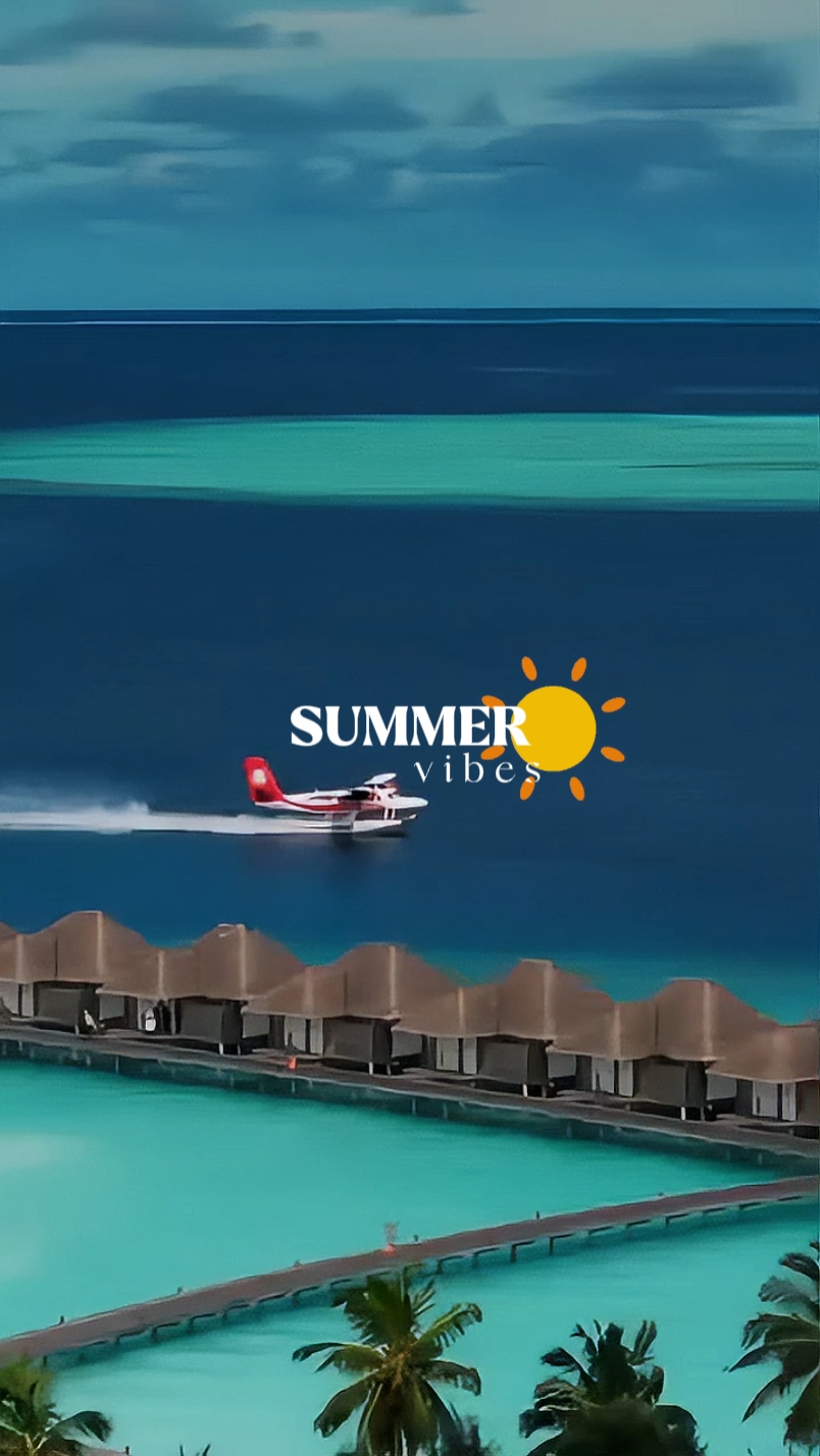 SUMMER VIBES