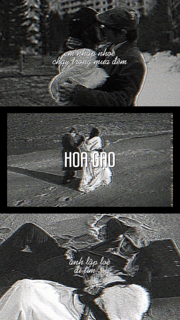 Hoa G… o - Tradução
