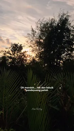 mandeh
