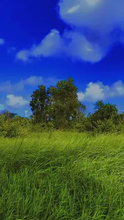 Adem banget Ya'allah