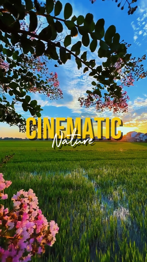 NATURE CINEMATIC