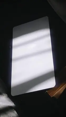 Quattro stagioni in un solo video