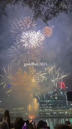 goodbye 2023.