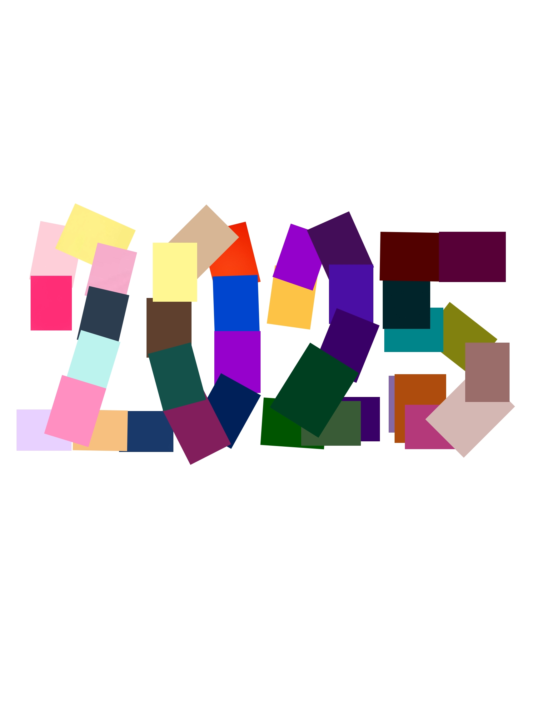 2025 RECAPS 