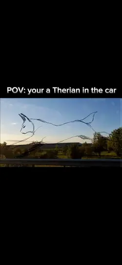 POV: your a Therian🐾