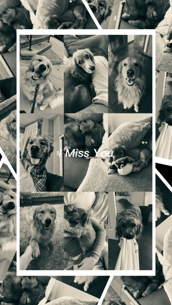 Te Extraño..