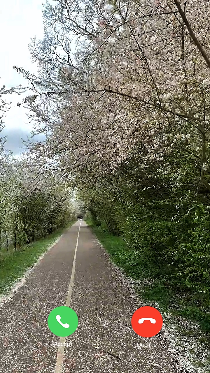 Le Printemps 📞 