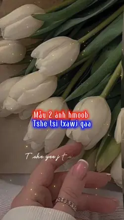 Mẫu 2 ảnh hmoob 