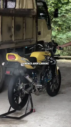 jenenge arek lanang