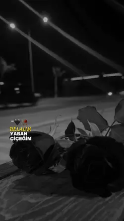 AŞKIM GERÇEĞİM ... !