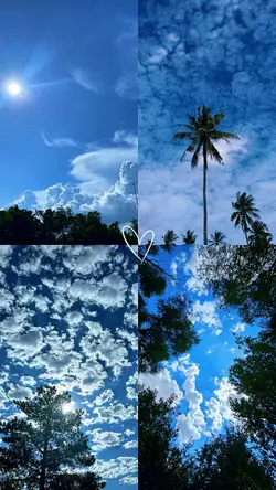 Trees and Clouds
