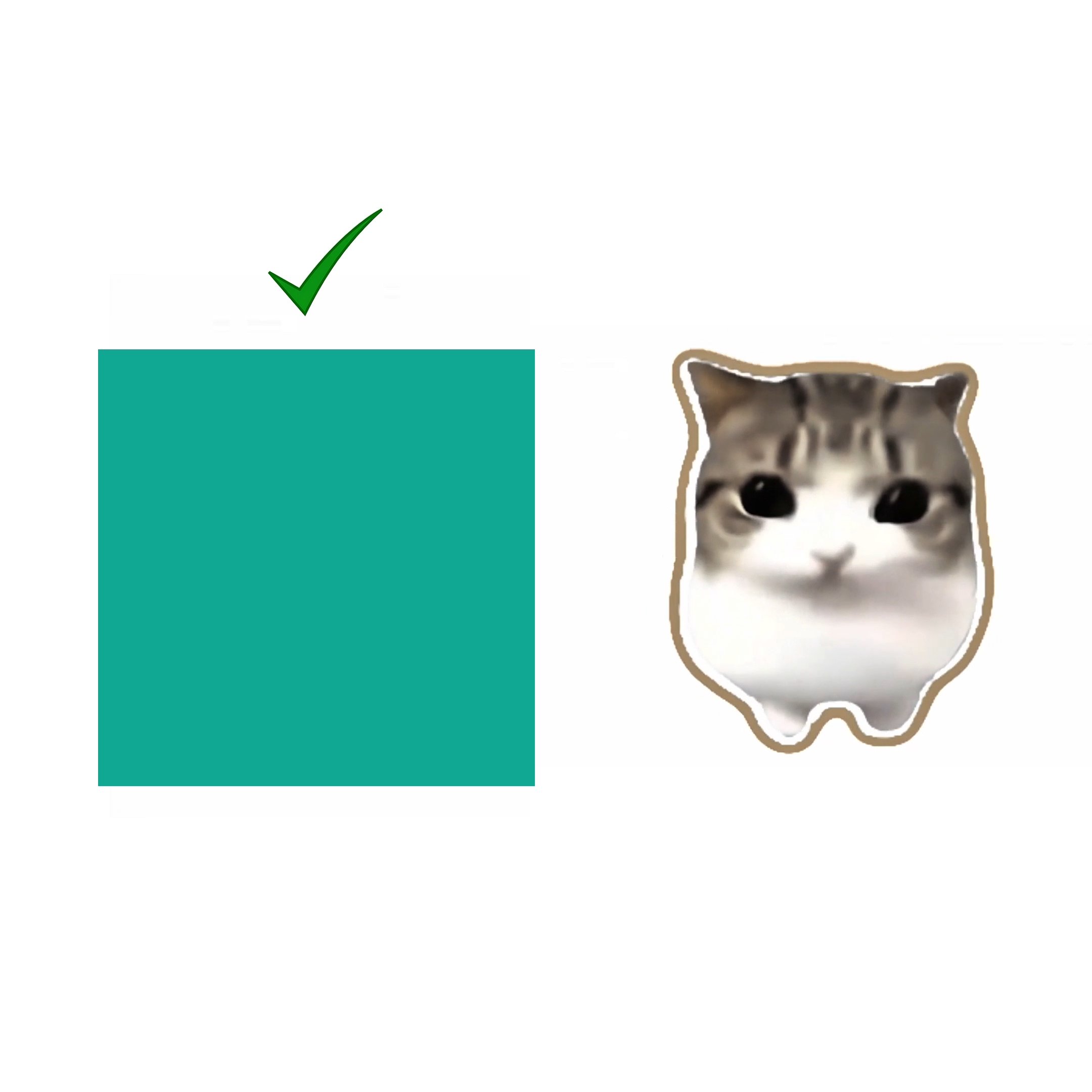  dam di di cat