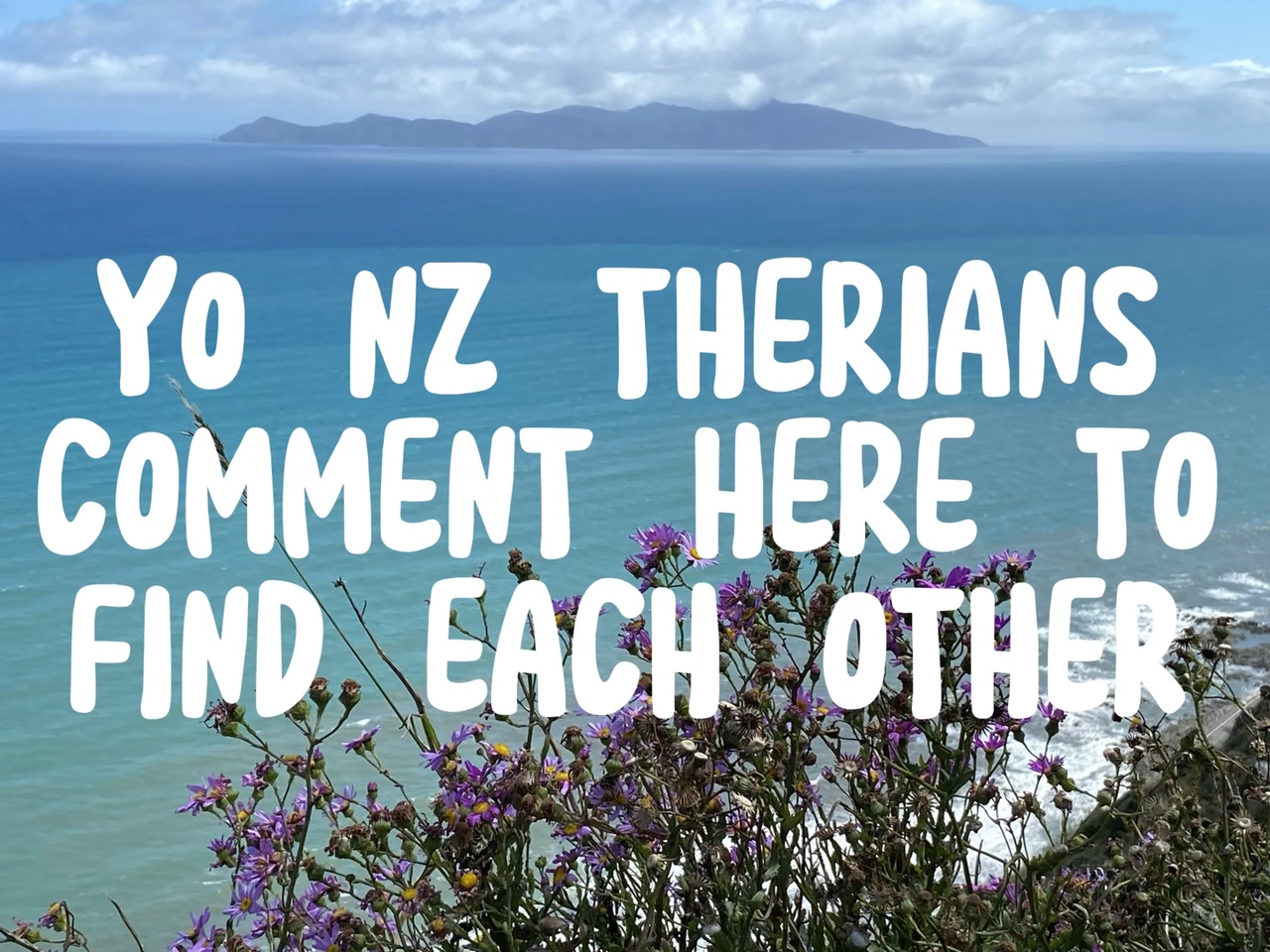 CALLING NZ THERIANS!