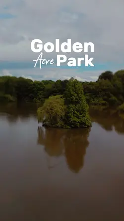 Drone video 🛸🌳