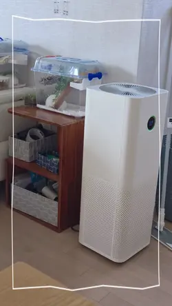 밥먹는데 자꾸 쳐다봄