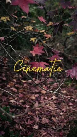 Cinematic 5videos